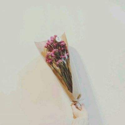 最后一鸡手机版下载